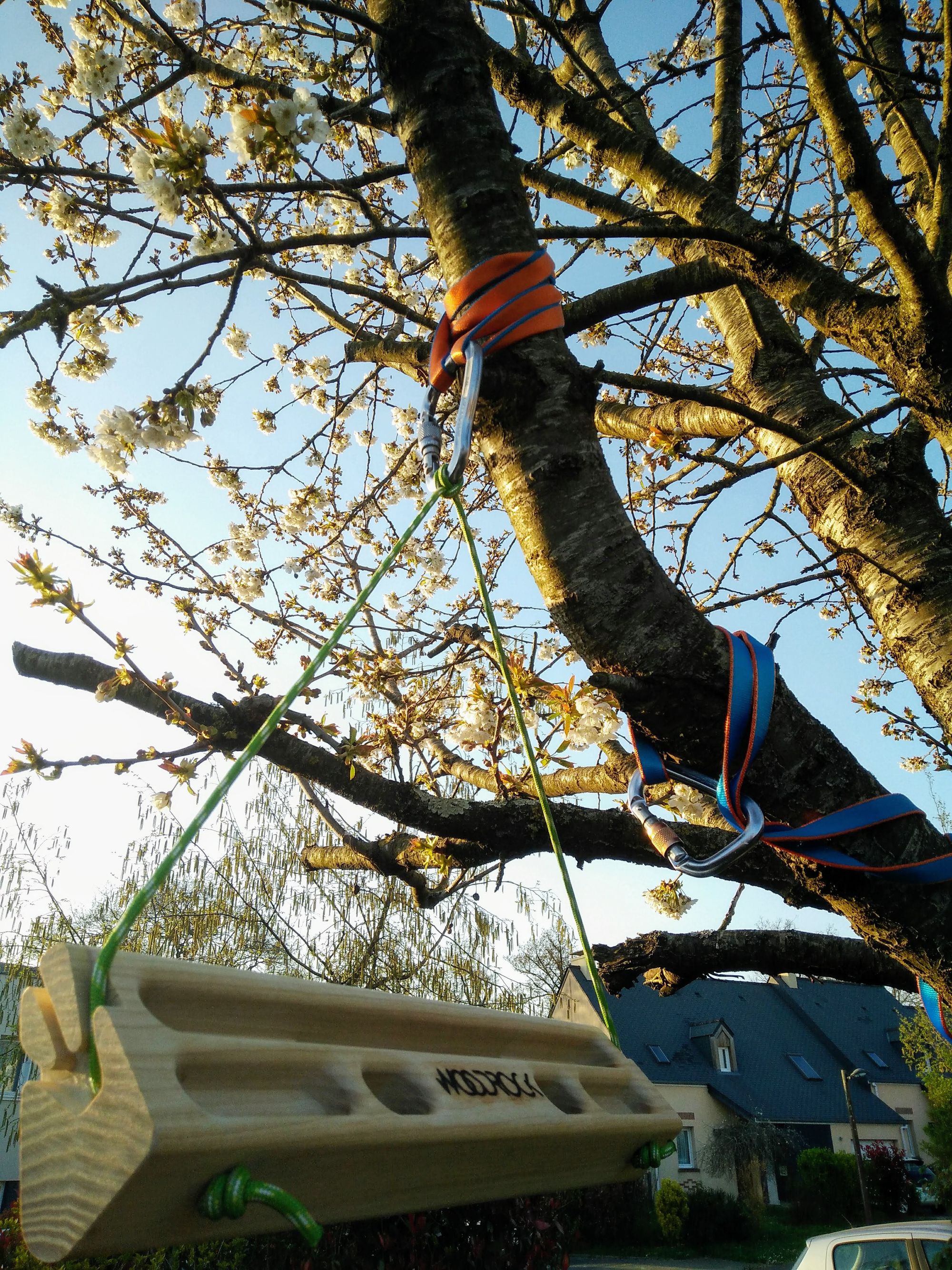 La fingerboard WoodRock nomade installée sous le cerisier.
